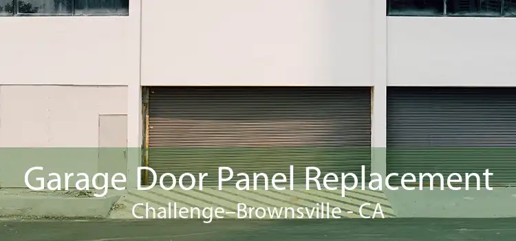 Garage Door Panel Replacement Challenge–Brownsville - CA