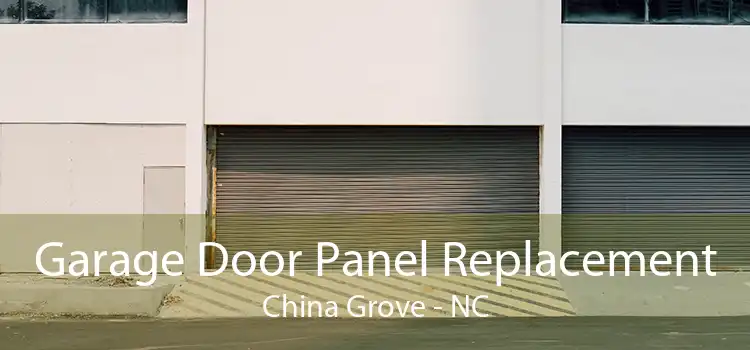 Garage Door Panel Replacement China Grove - NC