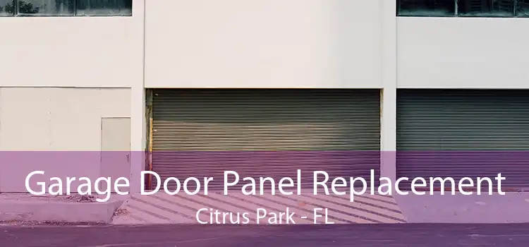 Garage Door Panel Replacement Citrus Park - FL