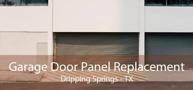 Garage Door Panel Replacement Dripping Springs - TX