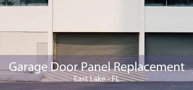 Garage Door Panel Replacement East Lake - FL