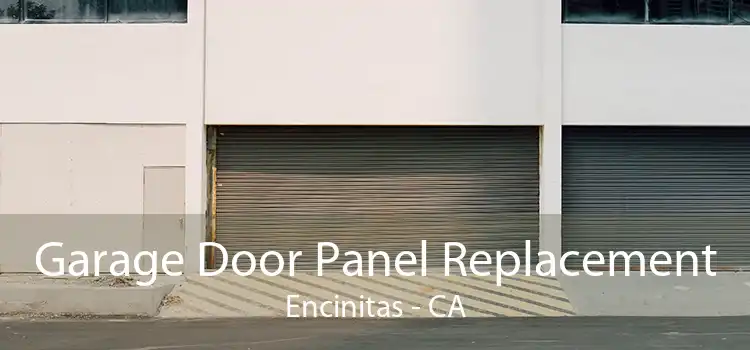 Garage Door Panel Replacement Encinitas - CA