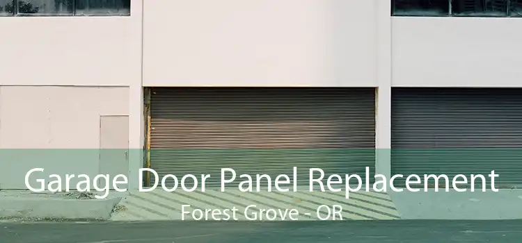 Garage Door Panel Replacement Forest Grove - OR