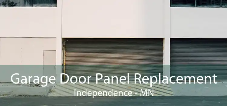 Garage Door Panel Replacement Independence - MN