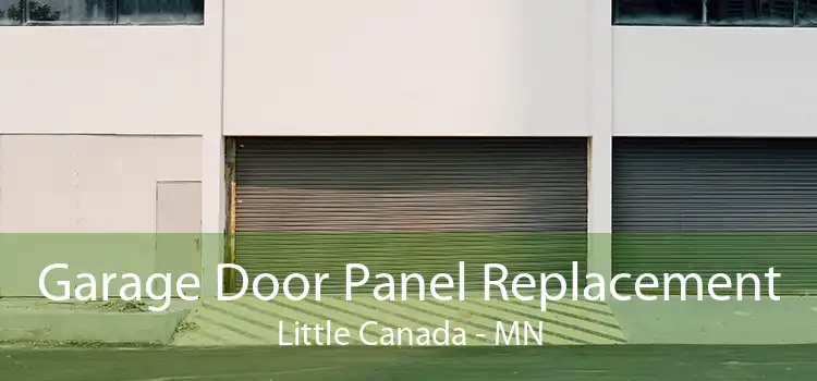 Garage Door Panel Replacement Little Canada - MN