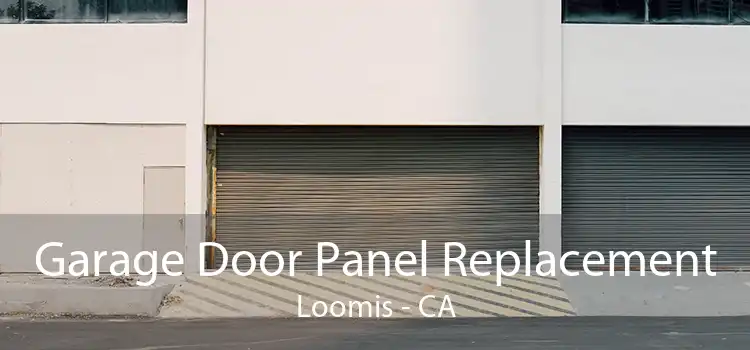 Garage Door Panel Replacement Loomis - CA