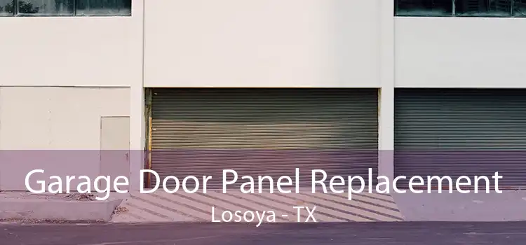 Garage Door Panel Replacement Losoya - TX