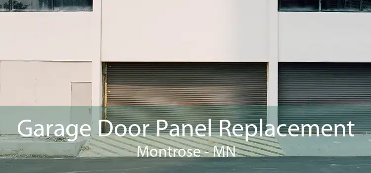 Garage Door Panel Replacement Montrose - MN