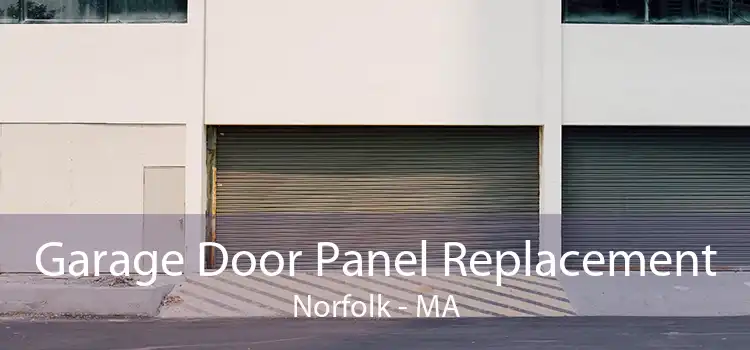 Garage Door Panel Replacement Norfolk - MA