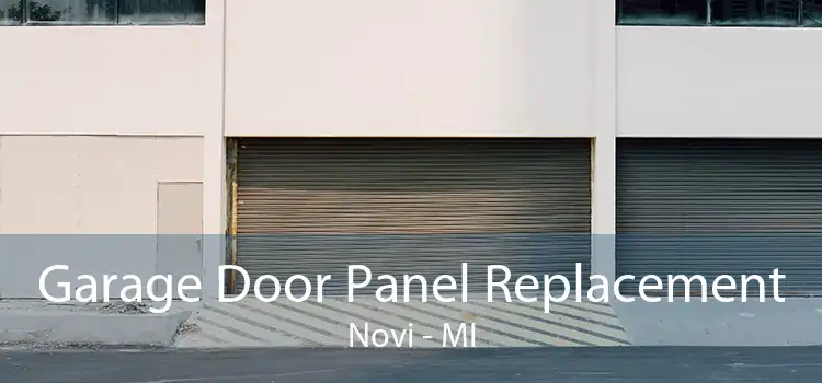 Garage Door Panel Replacement Novi - MI