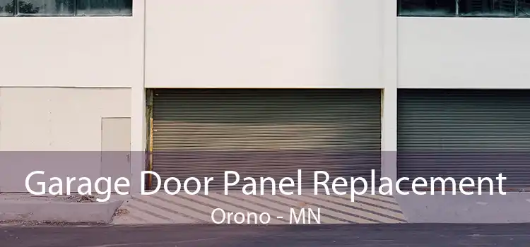 Garage Door Panel Replacement Orono - MN