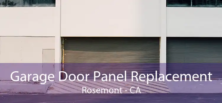 Garage Door Panel Replacement Rosemont - CA