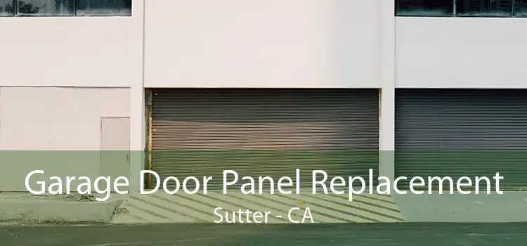 Garage Door Panel Replacement Sutter - CA