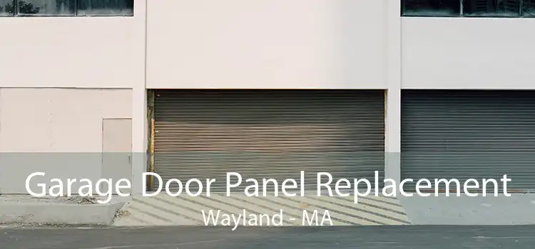 Garage Door Panel Replacement Wayland - MA