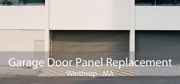 Garage Door Panel Replacement Winthrop - MA