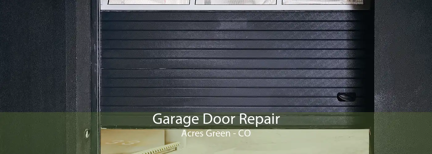 Garage Door Repair Acres Green - CO