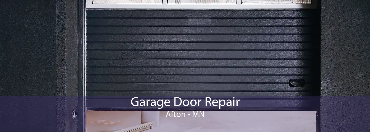 Garage Door Repair Afton - MN