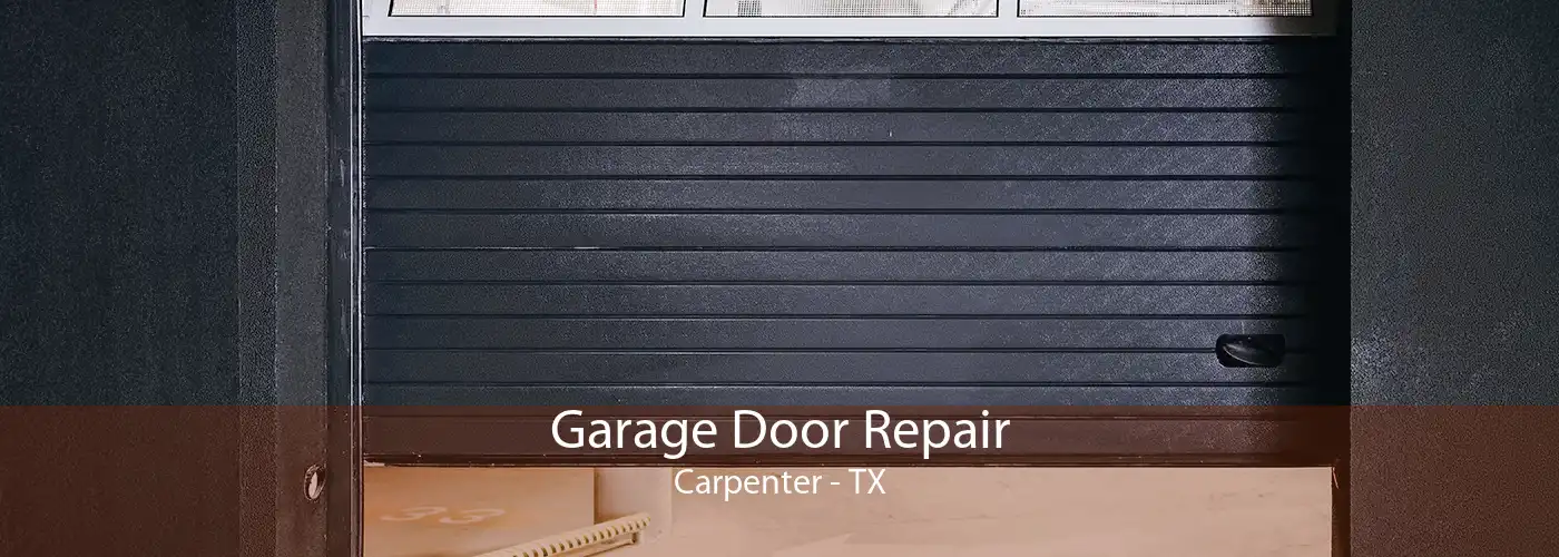 Garage Door Repair Carpenter - TX
