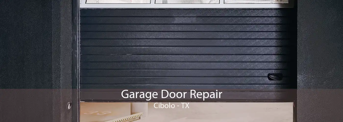  Garage Door Repair Cibolo - TX