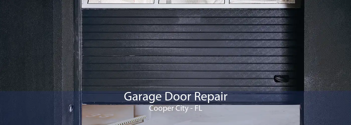 Garage Door Repair Cooper City - FL
