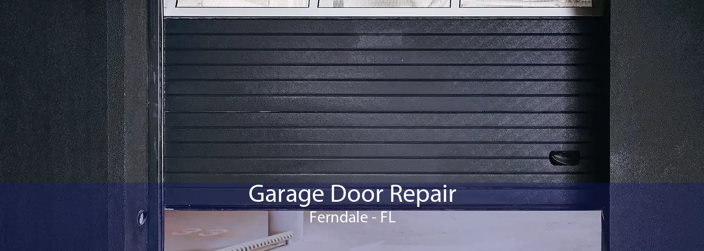 Garage Door Repair Ferndale - FL