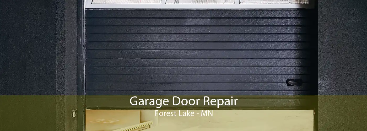 Garage Door Repair Forest Lake - MN