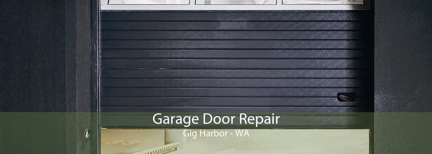Garage Door Repair Gig Harbor - WA