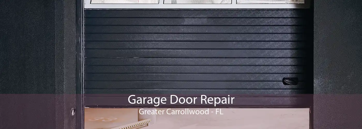 Garage Door Repair Greater Carrollwood - FL