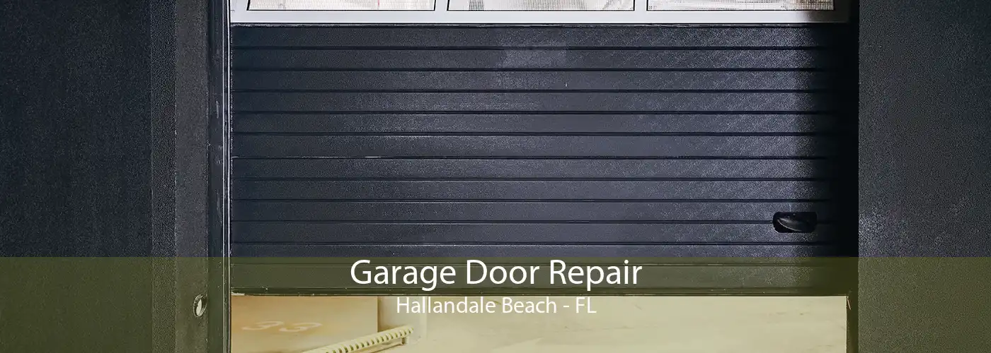 Garage Door Repair Hallandale Beach - FL