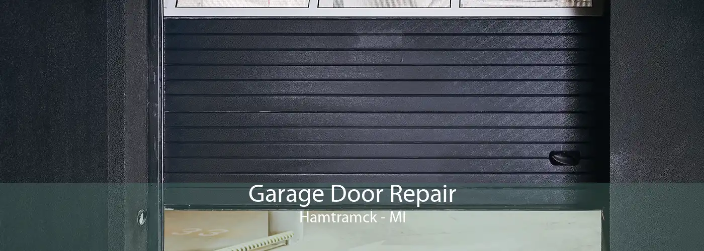  Garage Door Repair Hamtramck - MI
