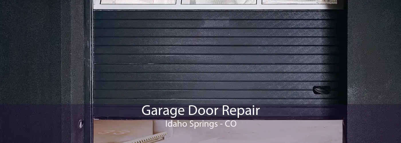 Garage Door Repair Idaho Springs - CO