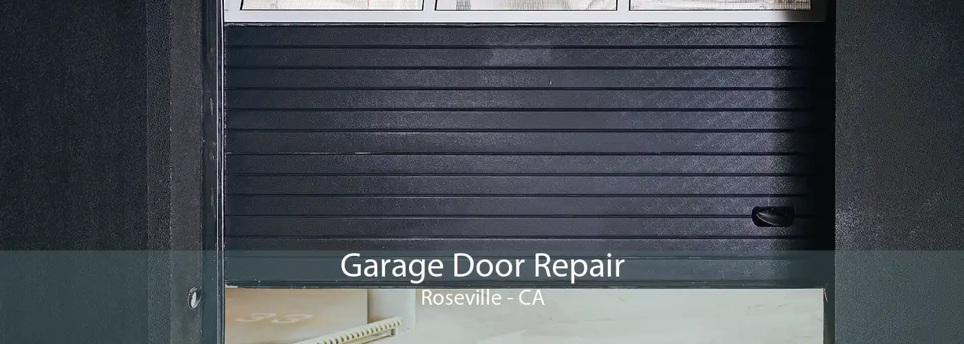 Garage Door Repair Roseville - CA