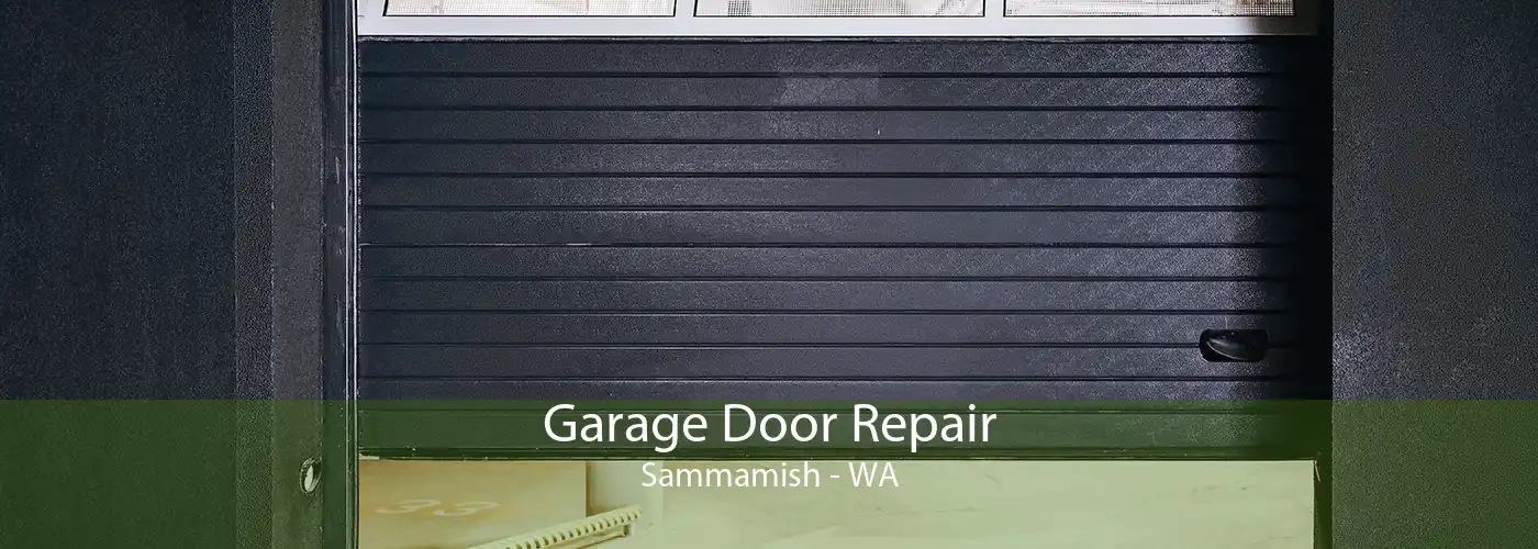 Garage Door Repair Sammamish - WA