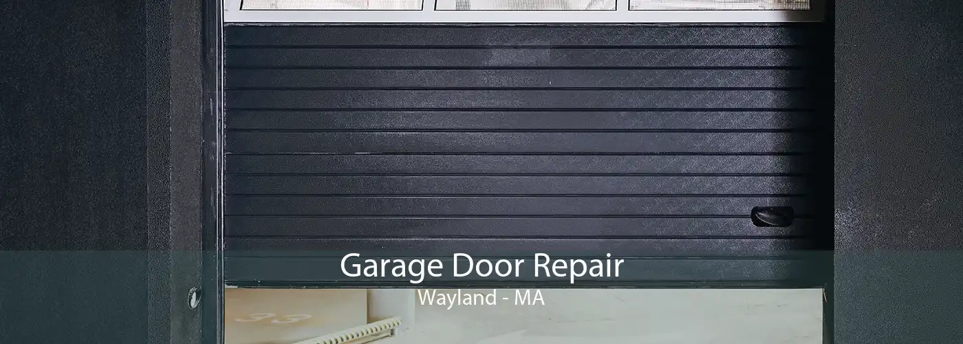Garage Door Repair Wayland - MA