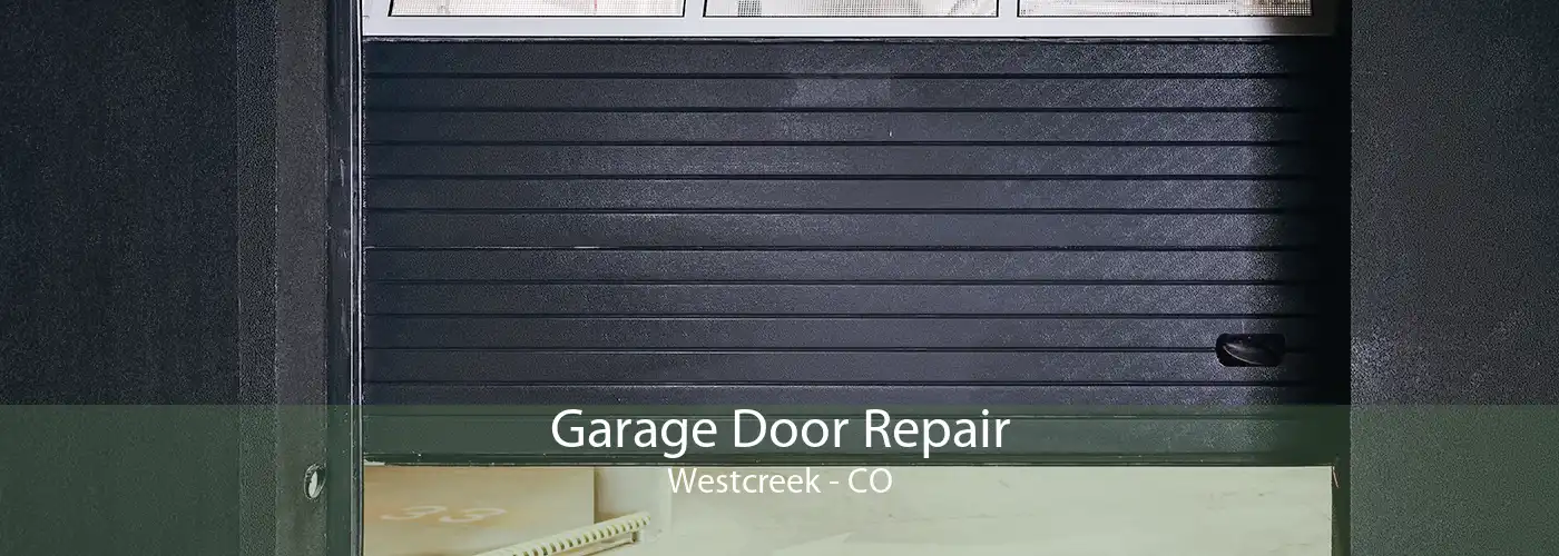 Garage Door Repair Westcreek - CO