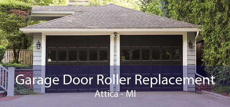 Garage Door Roller Replacement Attica - MI