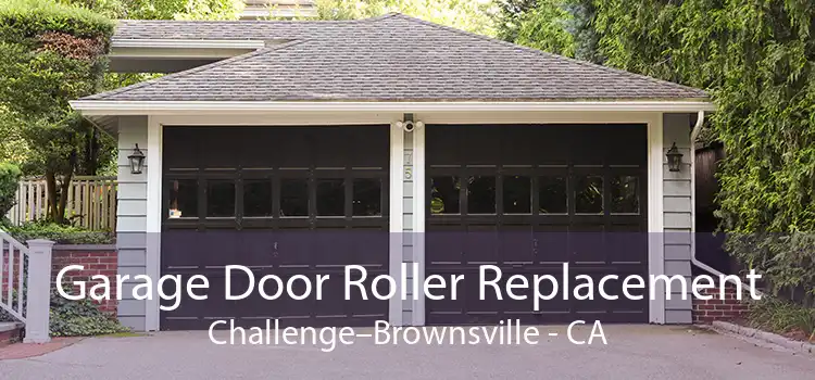 Garage Door Roller Replacement Challenge–Brownsville - CA