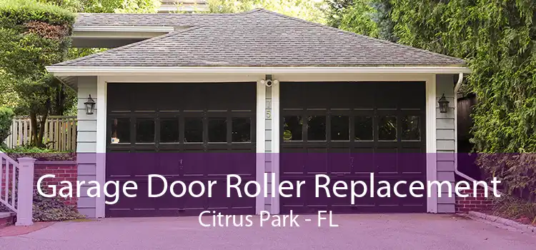 Garage Door Roller Replacement Citrus Park - FL