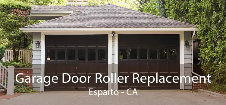 Garage Door Roller Replacement Esparto - CA