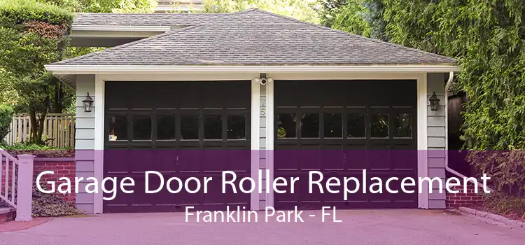 Garage Door Roller Replacement Franklin Park - FL
