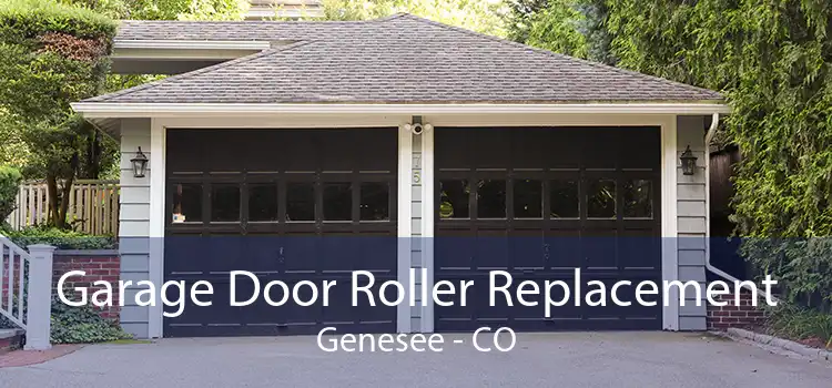 Garage Door Roller Replacement Genesee - CO