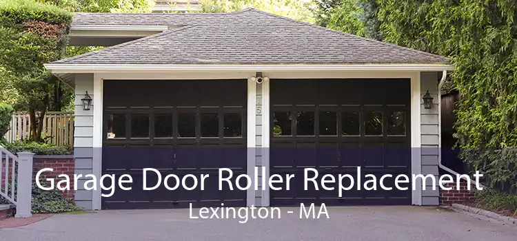  Garage Door Roller Replacement Lexington - MA