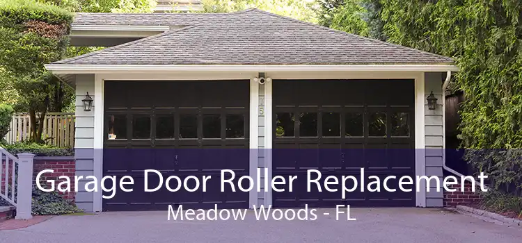 Garage Door Roller Replacement Meadow Woods - FL