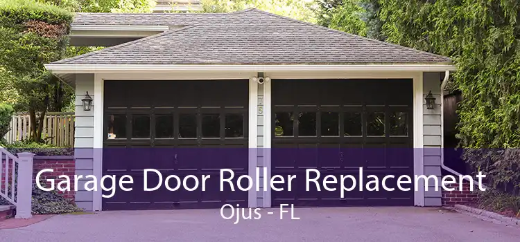 Garage Door Roller Replacement Ojus - FL