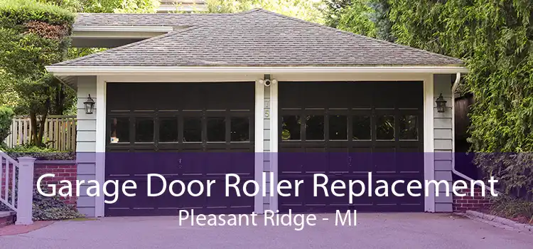 Garage Door Roller Replacement Pleasant Ridge - MI