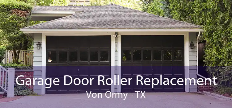 Garage Door Roller Replacement Von Ormy - TX