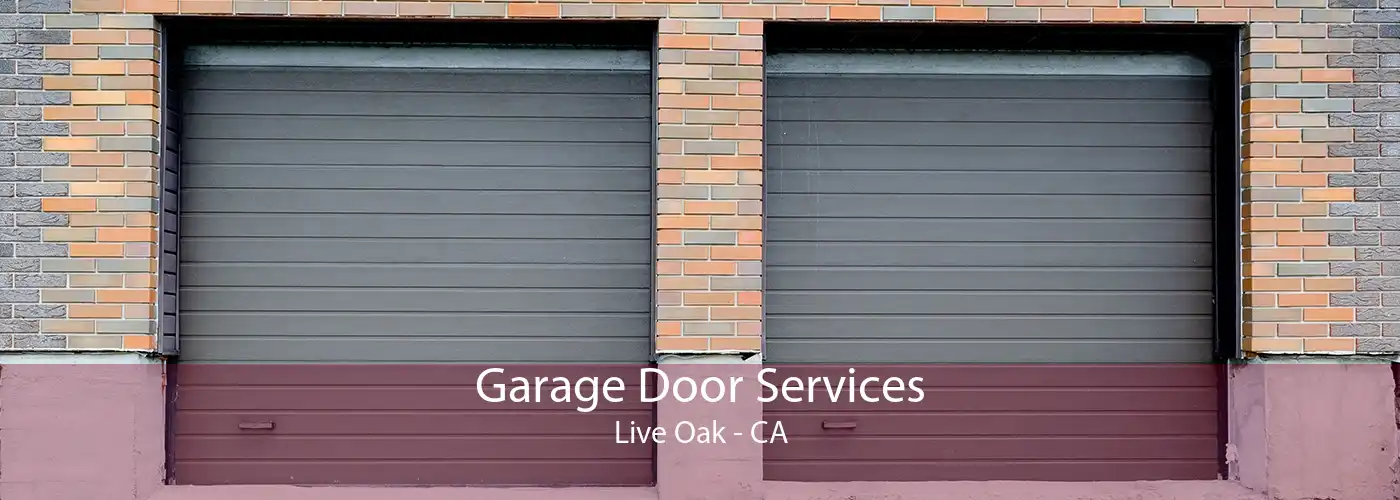 Garage Door Services Live Oak - CA