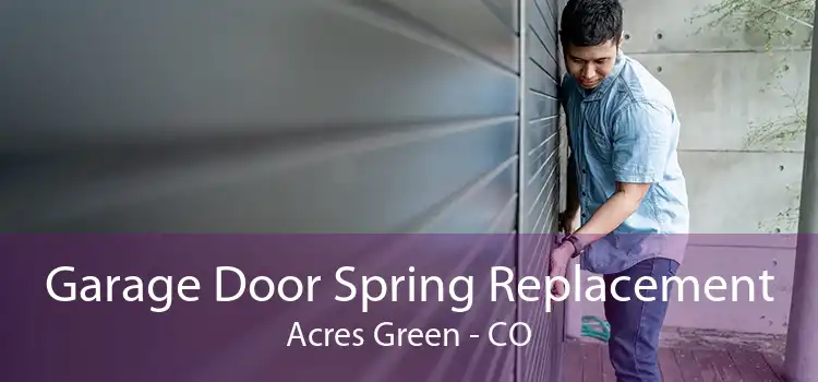 Garage Door Spring Replacement Acres Green - CO