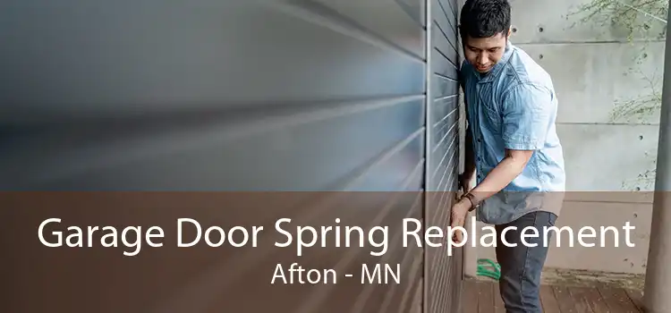 Garage Door Spring Replacement Afton - MN