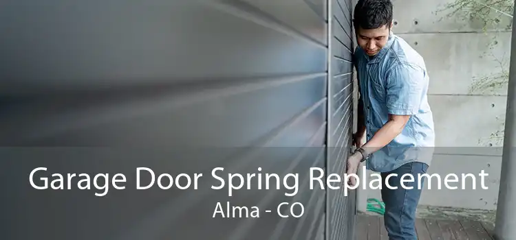Garage Door Spring Replacement Alma - CO